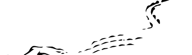 Chael crocodile logo