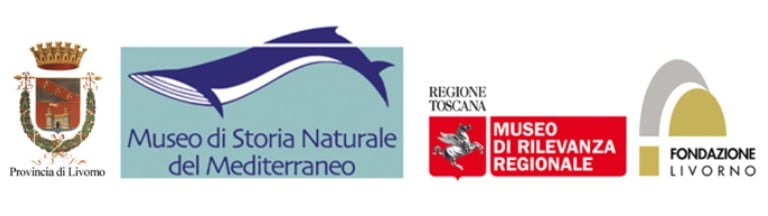 Vai al Museo di Storia Naturale del Mediterraneo