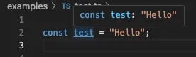TypeScript type literal in the VSCode IDE