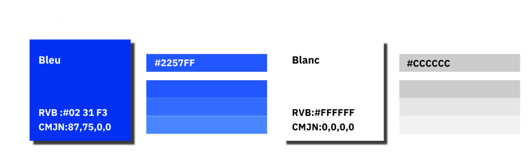 Palette de couleurs primaire avec des échantillons et les codes RGB et CMJN.