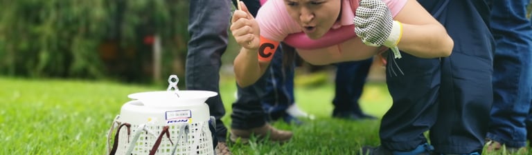 blog sobre  habilidades blandas