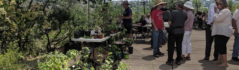 Plant sale with members talking in the background