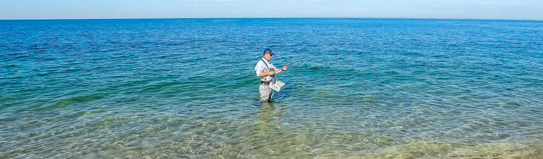Fishing for albies