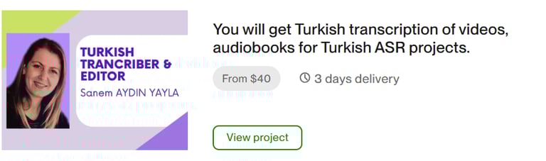 Sanem Aydın Yayla proje örneği 2