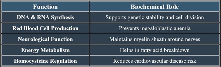 Cobalamin_Functions