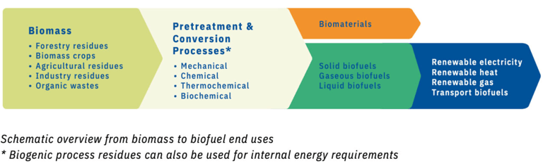 biofuel processes