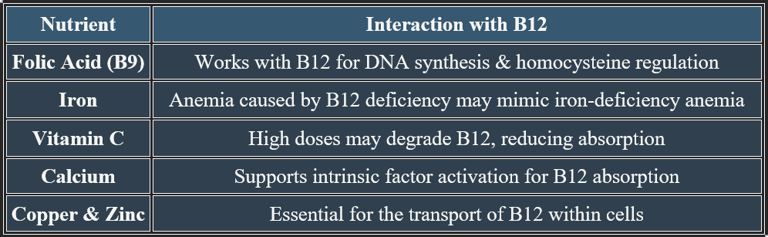Cobalamin Nutrient Interactions