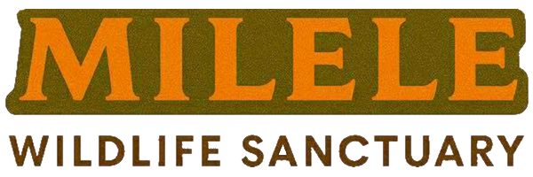 Milele Wildlife Sanctuary
