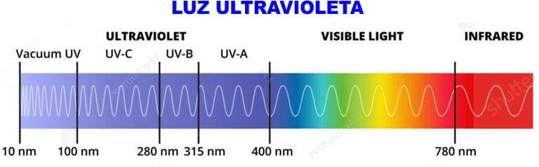 rango de luz ultravioleta 