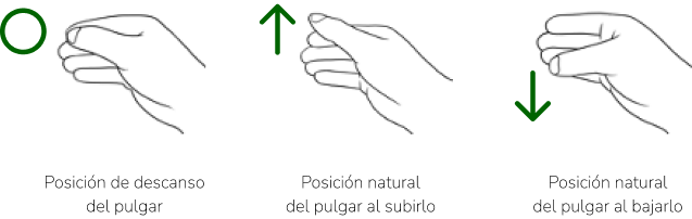 posiciones naturales de la mano