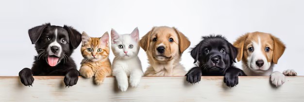 dogs and cats together