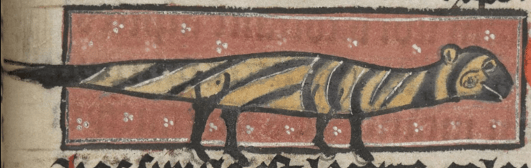 Representación de salamandra en el manuscrito medieval Sloane 278 British Library