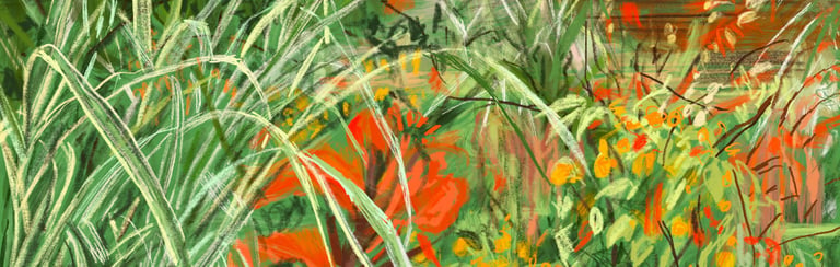 Front porch pots Great Dixter - digital drawing