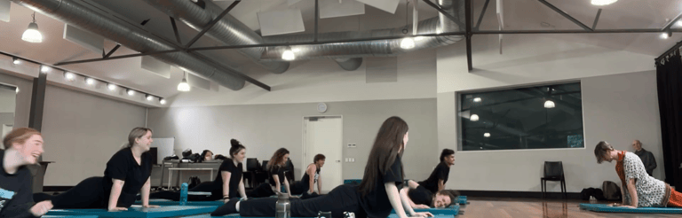 a group of people doing yoga exercises on their own mats