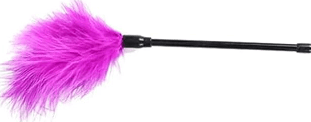 le plumeau