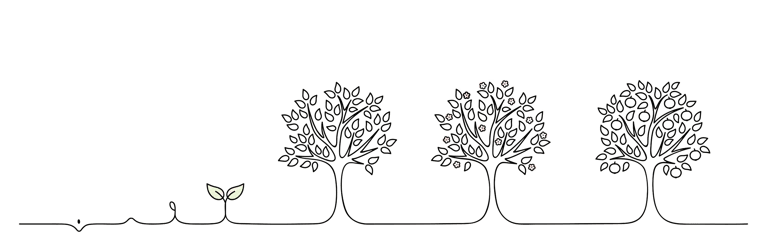 arbre renaissance evolution germination fleurir grandir croitre travail thérapies brèves