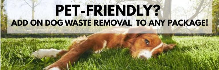 a dog laying on the grass with a dog in the background with the words pet
