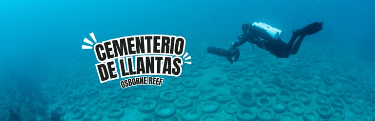 IMAGEN DE BUZO REVISANDO MUCHAS LLANTA EN EL FONDO DEL MAR