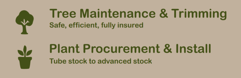 tree maintenance trimming plant procurement and installation