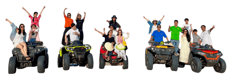 Tiim Group - company profile