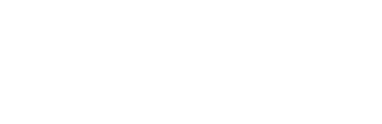 Lenzing Lanka Group (Pvt) Ltd.