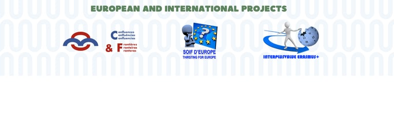 projects and animations or activities of the association