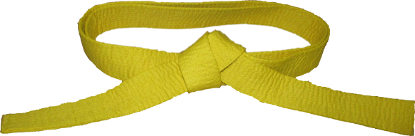 Lean-Six-Sigma-Yellow-Belt