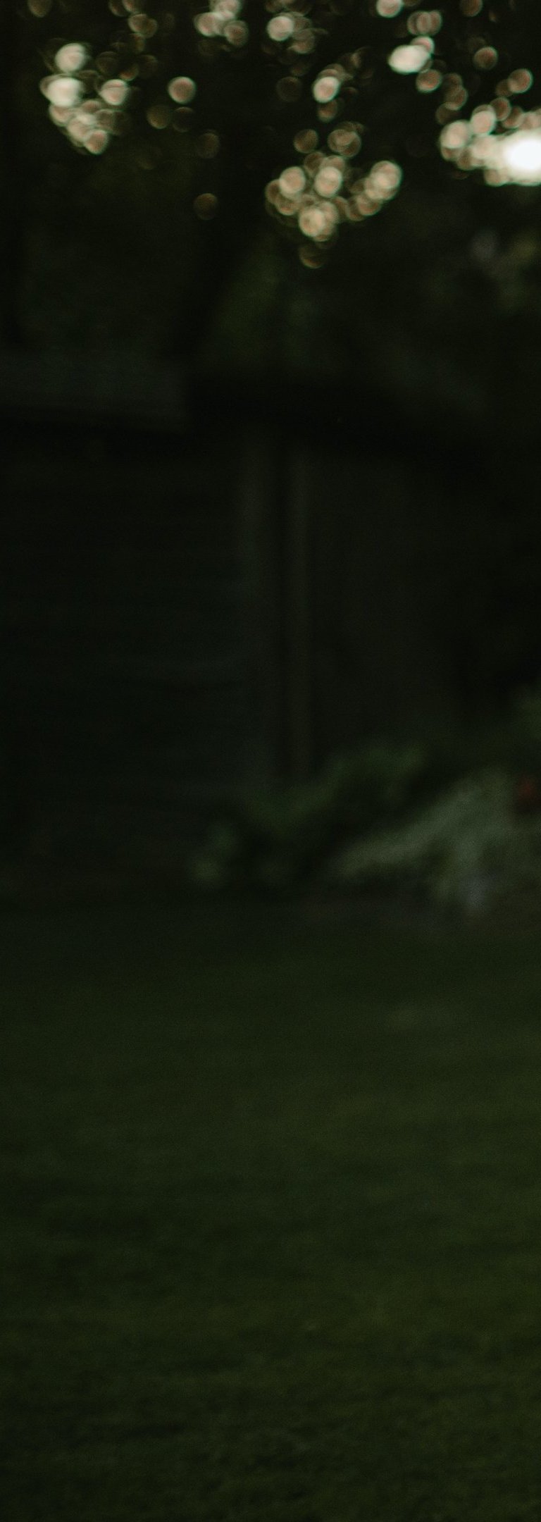 labai tamsios žalios spalvos fonas