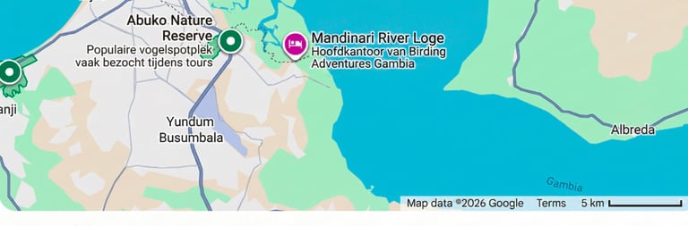 Kaartweergave van de Mandinari River Lodge, het hoofdkantoor van Birding Adventures Gambia
