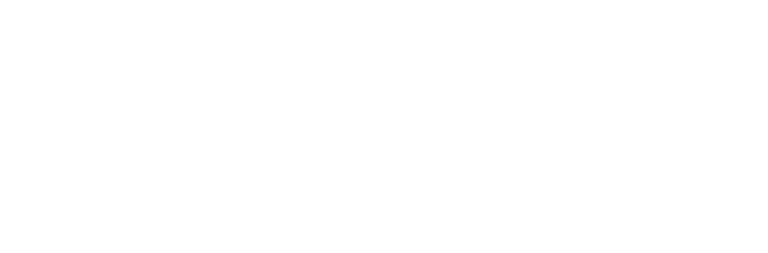 Intrepid Mental Wellness