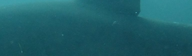 Ragged tooth Shark, Aliwal Shoal, Umkomaas, South Africa