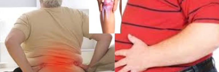 هى ام المشاكل السمنه