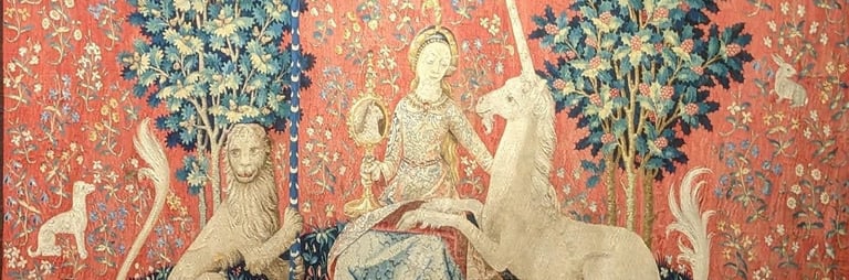Tapisseries de La Dame à la Licorne : Vue