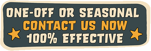 Effective Mosquito Control Services 06