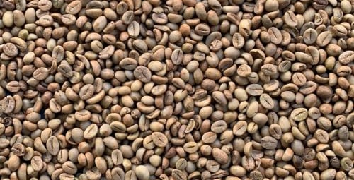 Robusta green bean grade 1