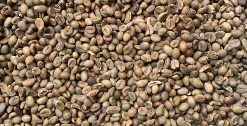 Robusta green bean grade 3