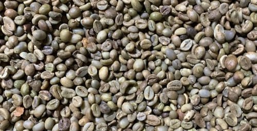 Robusta green bean grade 4