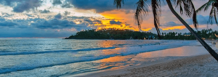 Arugam Bay