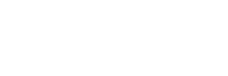 Logo PIHEX blanc sans fond