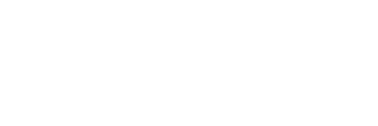 Logo PIHEX Blanc