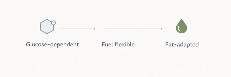 fat-vs-glucose-metabolic-fuel