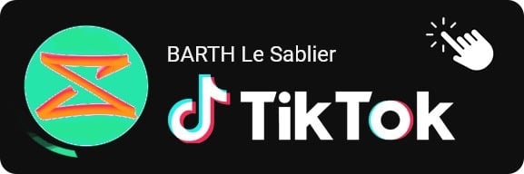 boutton-barth-tik tok