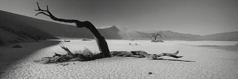 Black-and-white panoramic photograph of Namibia’s Deadvlei, with skeletal camelthorn trees and towering desert dunes 