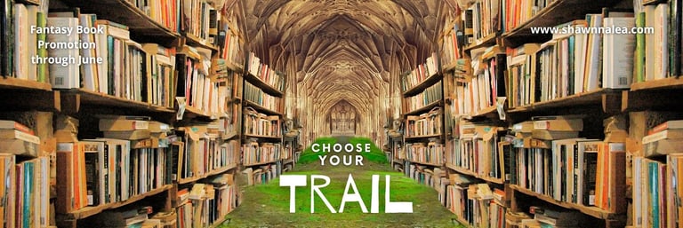 Fantasy books promotion through June 2026