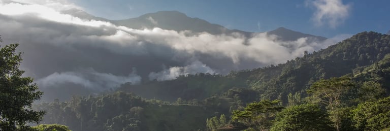 Lush green tropical mountain range shrouded in low-lying white mist and clouds under a bright sky.