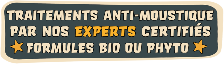 moustique Cap d’Antibes moustiques-tigres