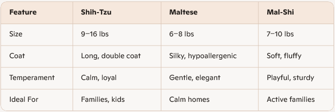 Maltese Mal-Shi Dog Breed comparison Chart