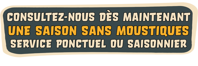 moustiques cannes 06