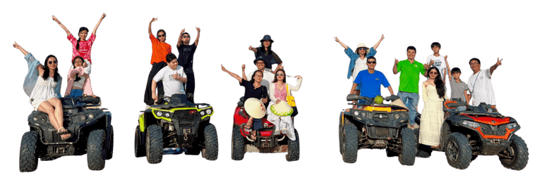 Tiim Group - company profile