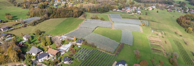 Arbres fruitiers en verger bio, ferme familiale à Tournon en Savoie